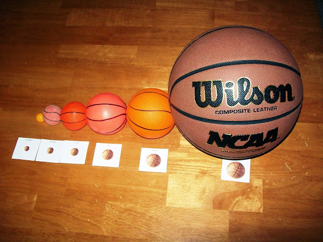 Basketball Size Sequencing