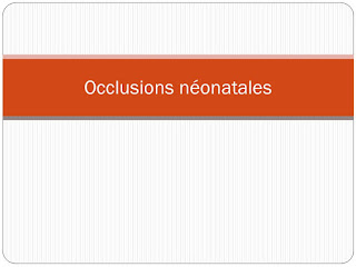 Occlusions néonatales .pdf