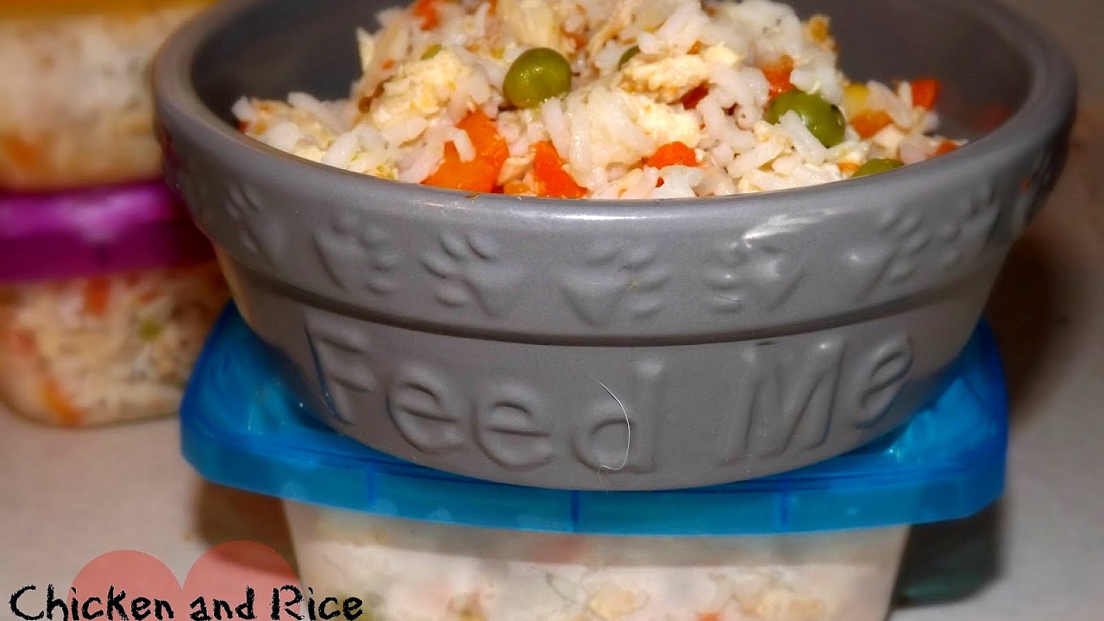 Chicken And Rice For Dogs Recipe Chicken Choices