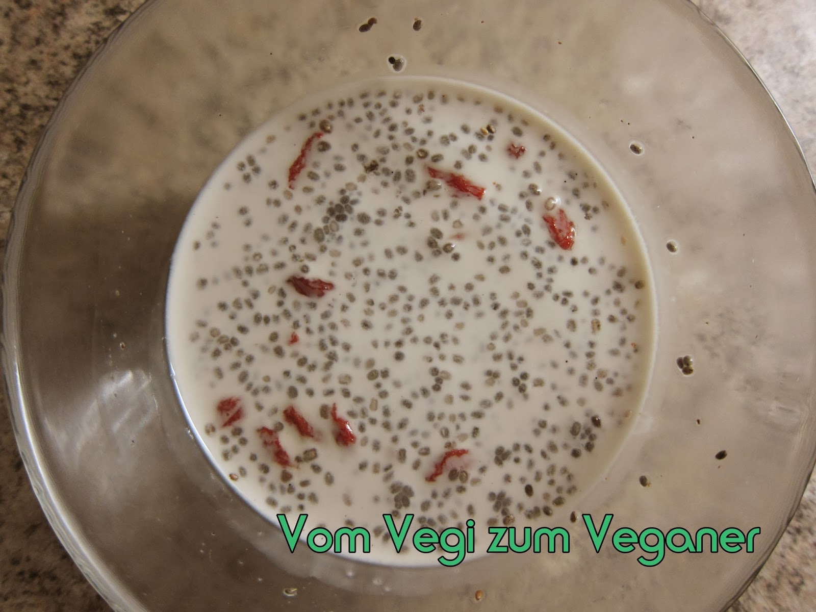 Vom Vegi zum Veganer: Roher Vanille- Mandelmilch- Chia-Samen Pudding