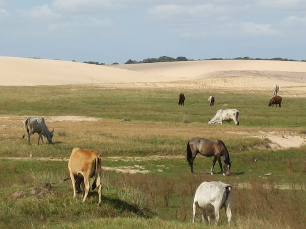 Parques nacionales de Venezuela Parque nacional Santos Luzardo