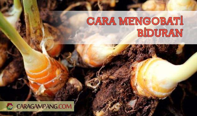 Cara Mengobati Biduran dengan Bahan Alami Cara Mengobati Biduran