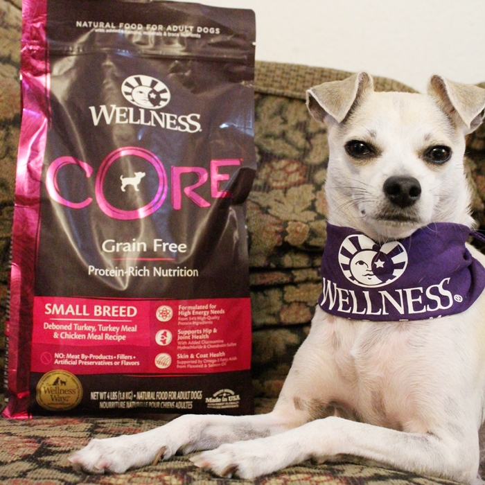 Finding 5 Signs of Wellness at PetSmart! #WellnessPet Dog Food Review