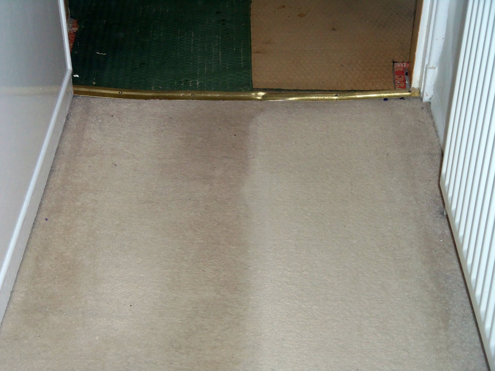 Fun as a Gran Rug Doctor a review