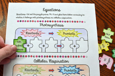 Photosynthesis vs Cellular Respiration