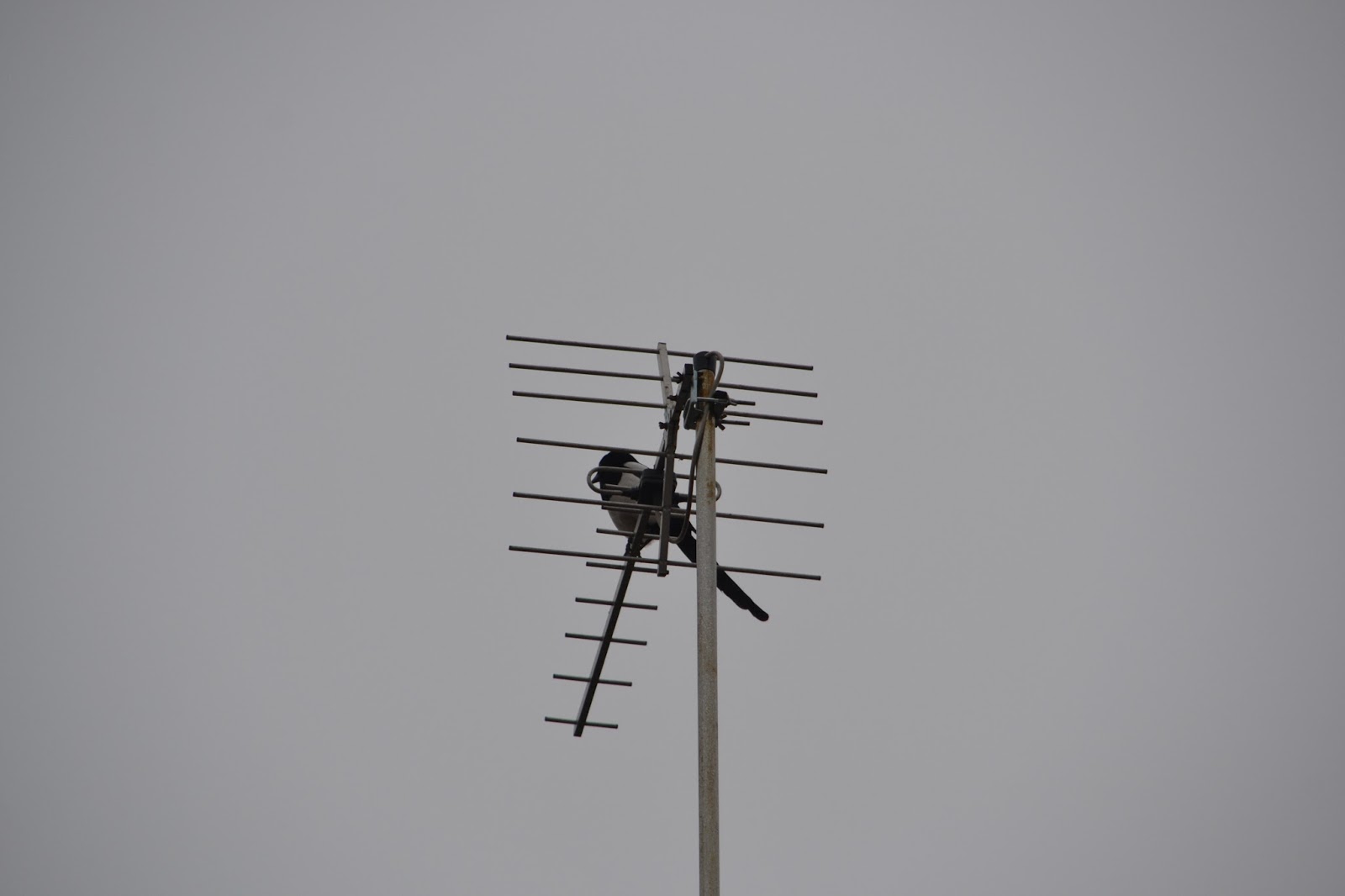 Mój kuferek Kot, kotek koteczek haftowany i malowany=)