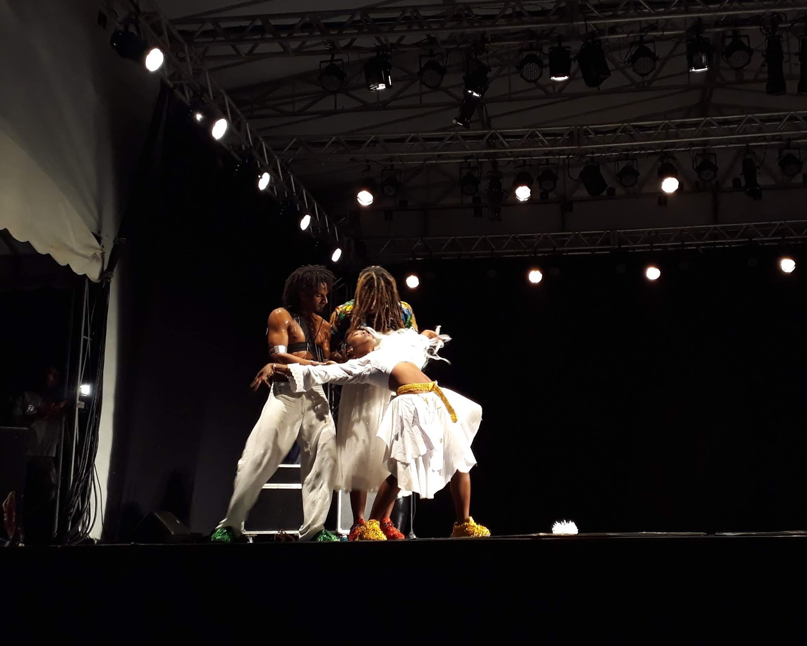 delta domestic bolsagage