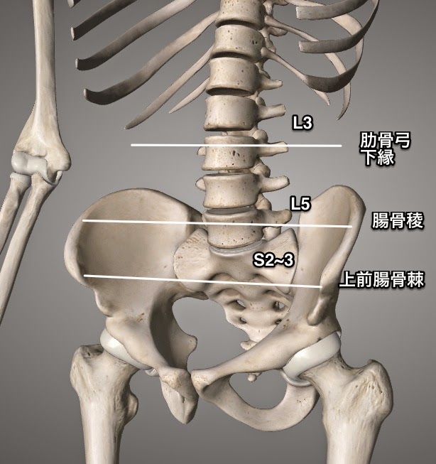 上縁