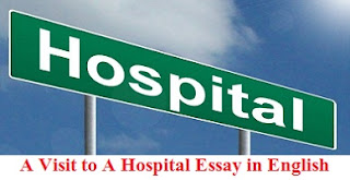 What is learned helplessness picture