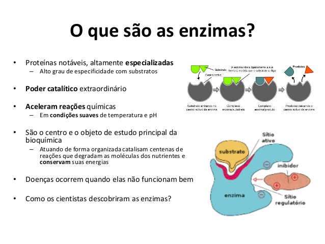 Biologicamente Falando Enzimas