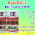 Contoh cara tradisional menyembuhkan penyakit sipilis
