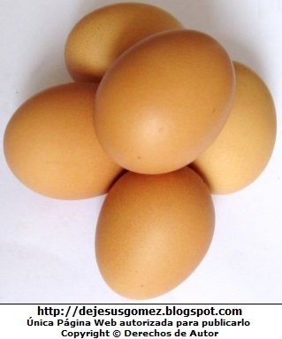Huevos Cinco huevos crudo. Foto de huevos de Jesus Gómez