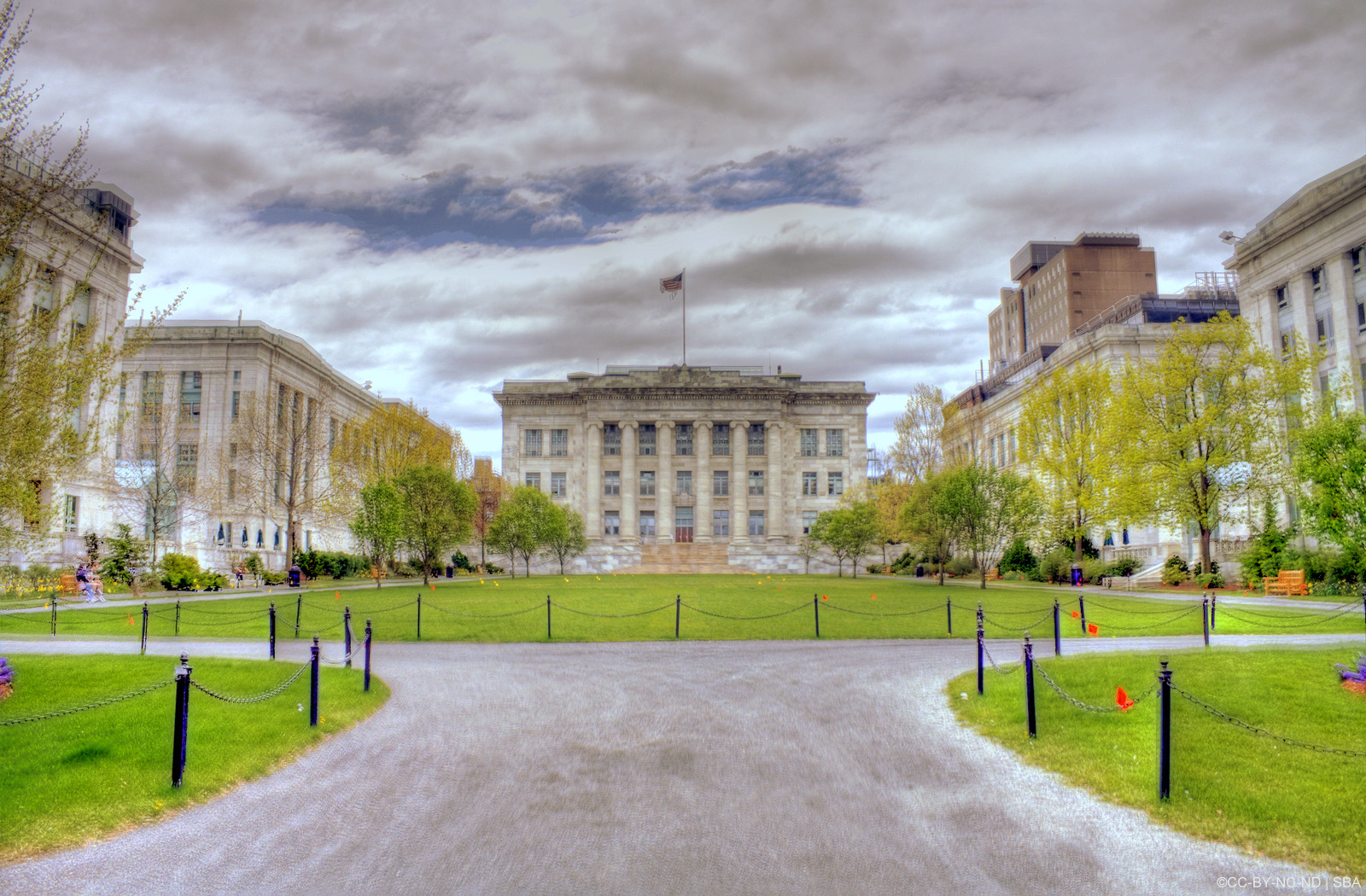 The Hippocratic Oath Med School Profile Harvard Medical School