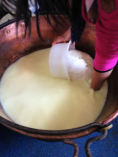 tome du béarn, fromagerie herrere, la laiterie de paris, blog fromage, blog fromage maison, fromagerie urbaine, tour du monde des fromages, fromagerie paris, fromage pau, fromage brebis , brebis basco béarnaise, vache béarnaise, voyage fromage, fromage près de pau