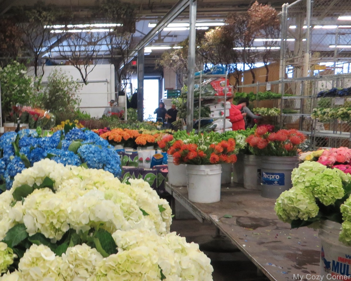 My Cozy Corner Visit to San Francisco Flower Mart