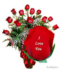new letest hd wallpaper: Love rose dil hd wallpapers free downlod