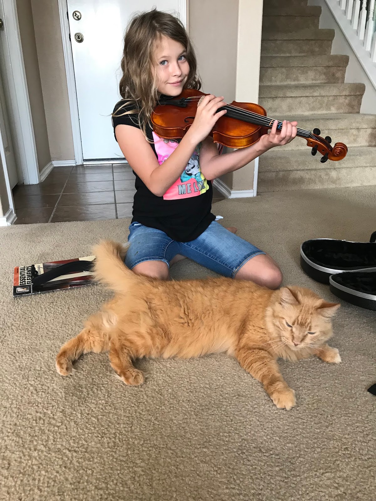 Airing My Laundry, One Post At A Time...: When Your Daughter Plays The  Violin