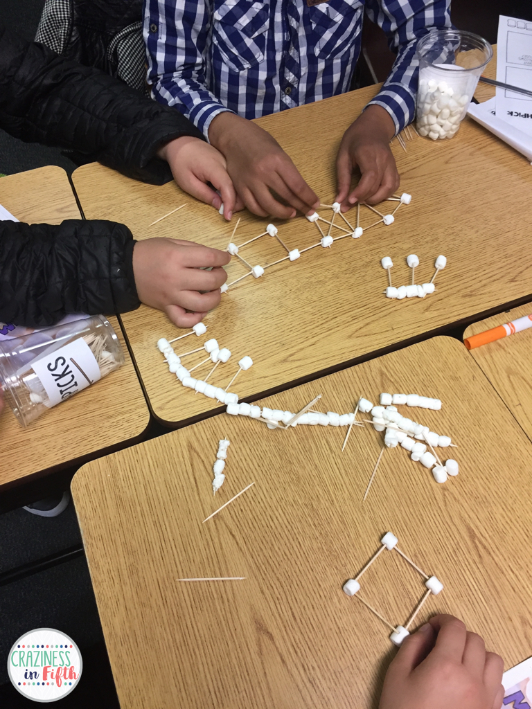 Craziness in Fifth Marshmallow Toothpick Bridges & FREEBIE!