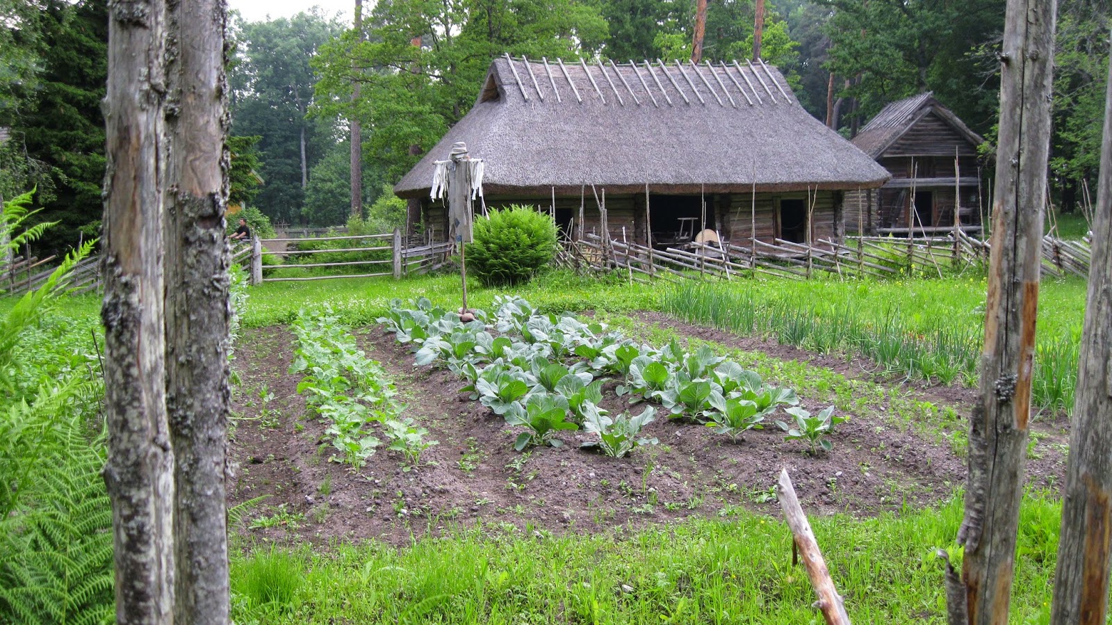 Estonia - Paradise of the North: The First National Open Farm Day to ...