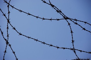 filo spinato nei campi di concentramento