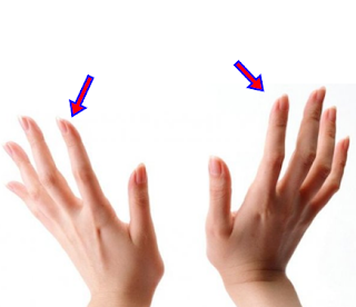 #30 Arti Kedutan Jari Telunjuk Tangan Kanan dan Telunjuk Tangan Kiri