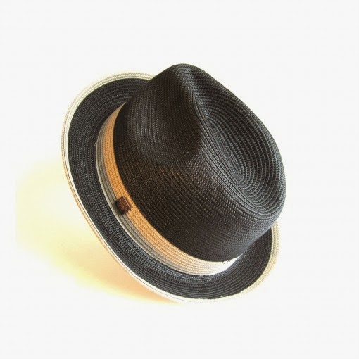 THE MODERN FASHION TRENDS: Hats Mark a Man as a Gentleman, Stylish and ...