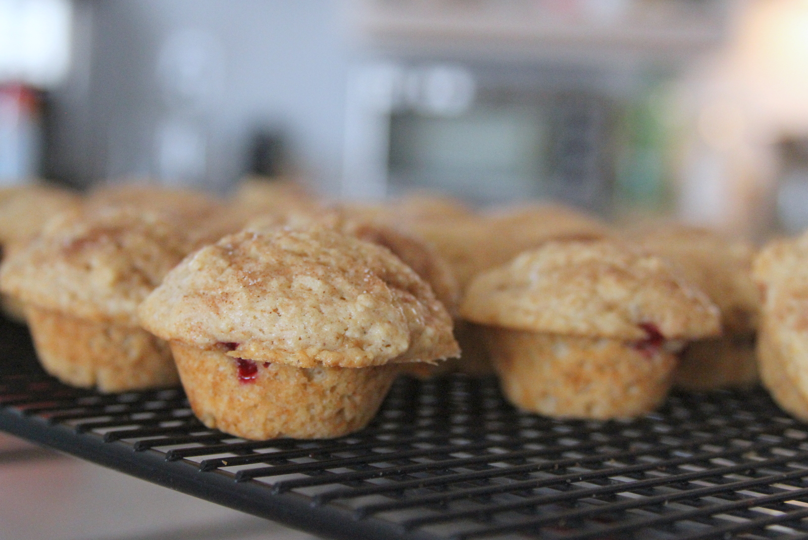 Life Alaskan Style plum + muffins = so. yum.