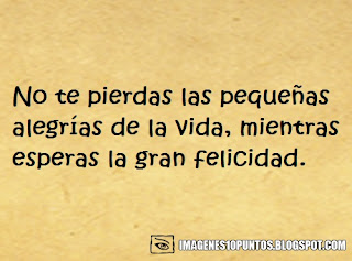 frases alegres frases alegres