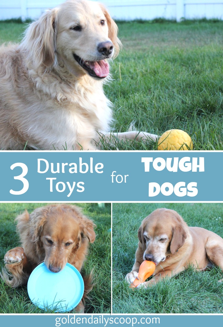 Three Durable Toys for Tough Dogs