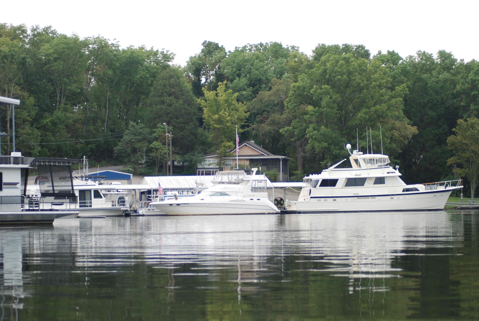Old field Studio & Leo Lakes Reel Singing in Nashville!