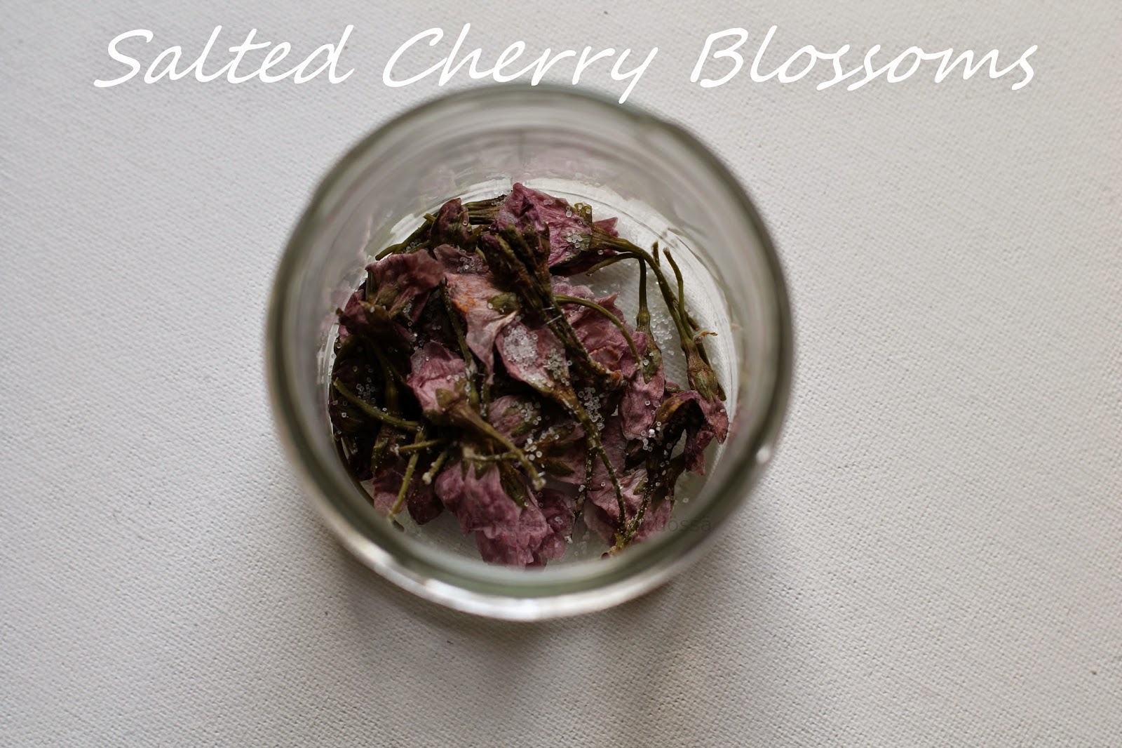 桜の花の塩漬 Salted cherry blossoms