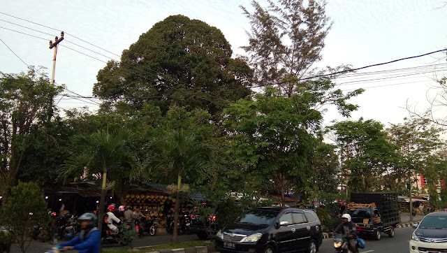 Kucing The Explorer With Hunting Pasar Balikpapan