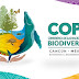 Reserva de la Biosfera Caribe Mexicano, nueva área natural protegida