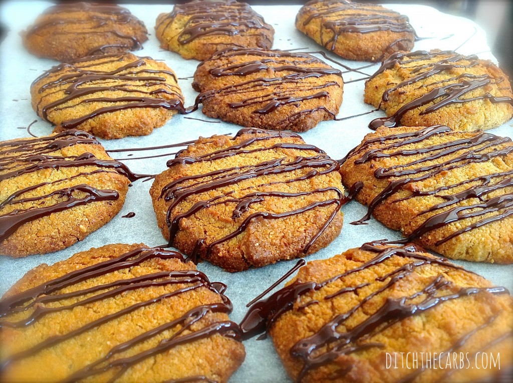 The Low Carb Diabetic Peanut Butter Cookie Biscuits Nut Free and Low