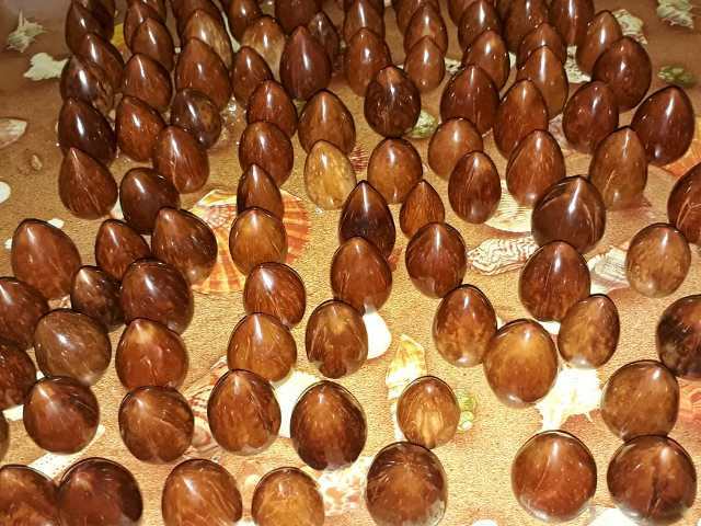 Buah kokka atau buah kaukah Buah kokka atau buah kaukah