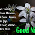 Top 10 good night Images, Greetings, Pictures for whatsapp-bestwishespics