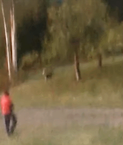 GIF%2B%25281%2529.gif