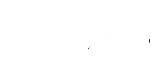 Capture Photography