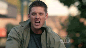 tumblr_lkcemjrHtD1qhsfp1.gif