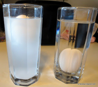 Nerdy Science: Water density and floating egg experiment