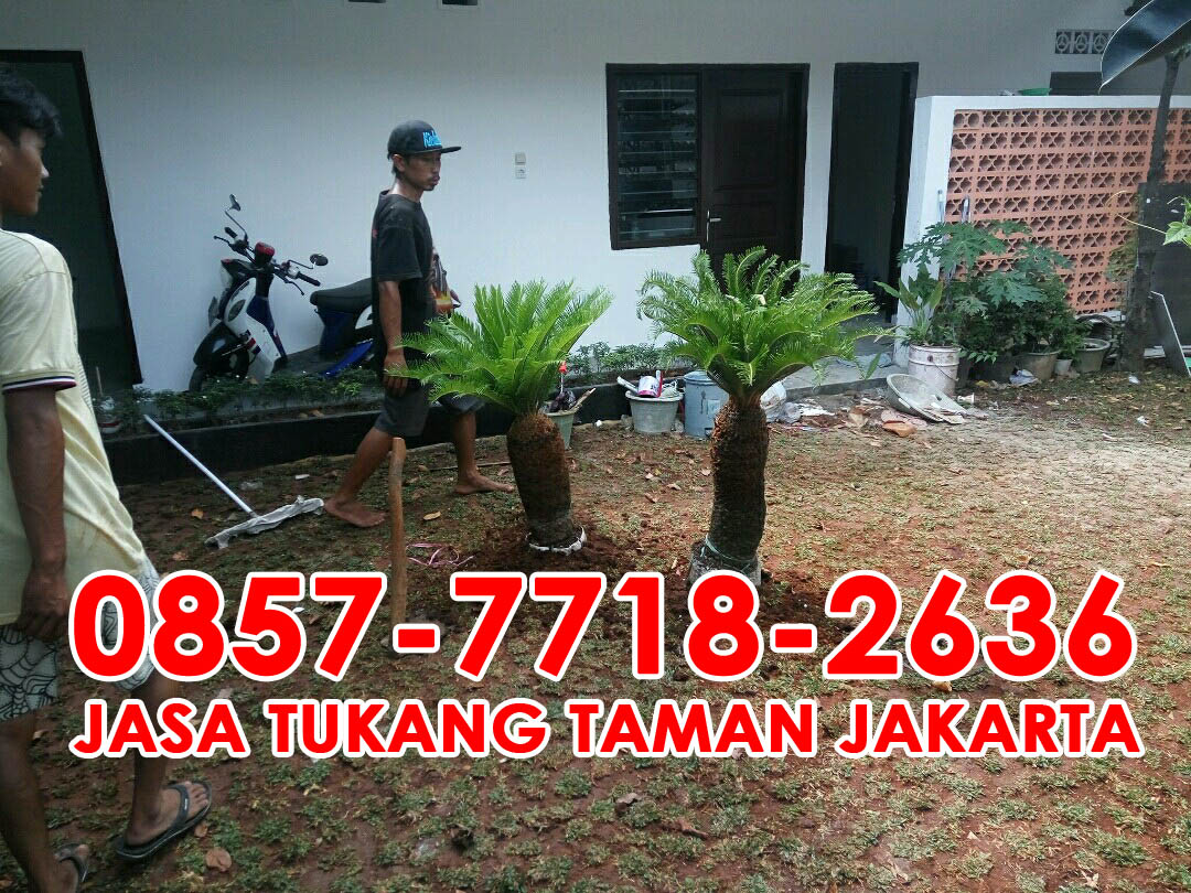 tukang taman jakarta jasa tukang taman jasa pembuatan taman taman minimalis jasa tukang tukang taman jakarta jasa tukang taman jasa pembuatan taman taman minimalis jasa tukang