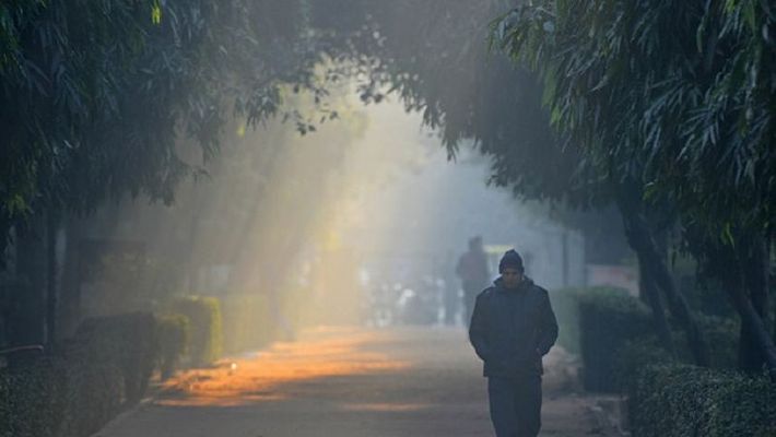 Weather of North India: January 2019