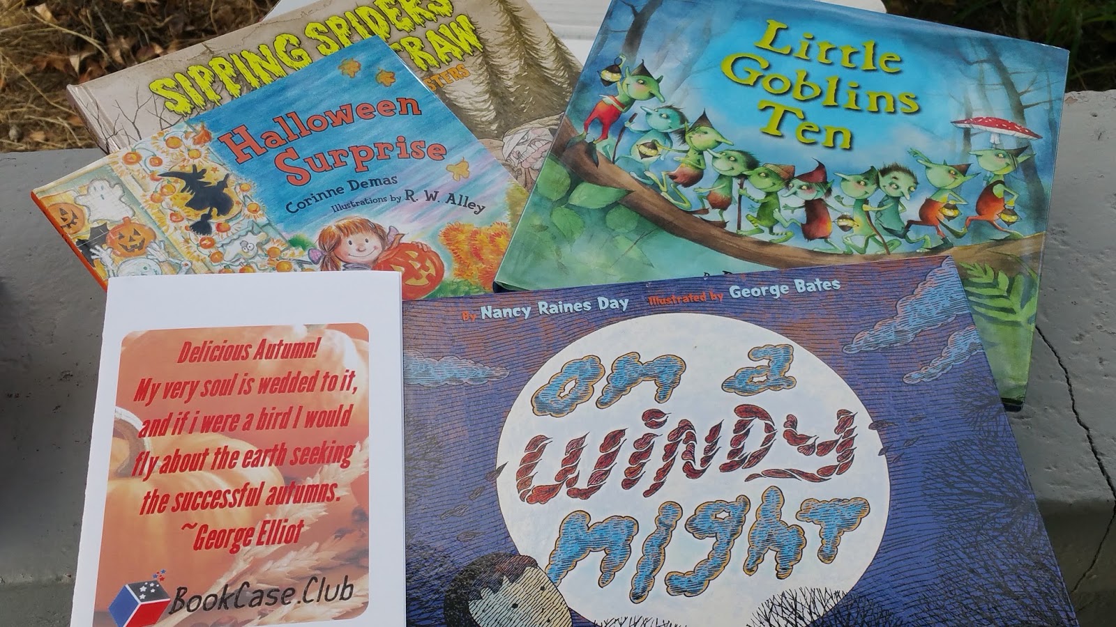 The ABCD Diaries Holiday Gift Guide Subscription Box