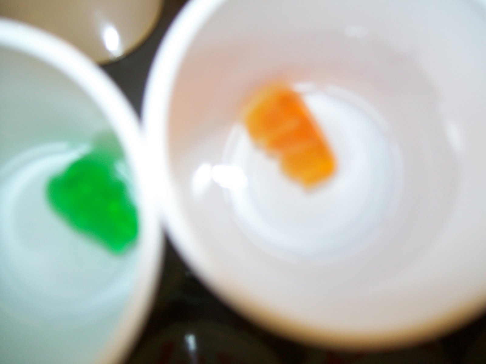 Science Facts for Fabulous Kids What Will Happen to a Gummy Bear When