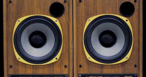 tannoy 10b