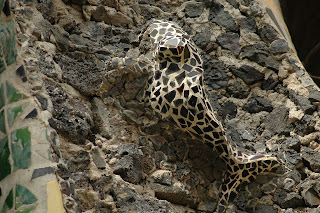 decoration projecting in the crypt of the colony güell, barcelona