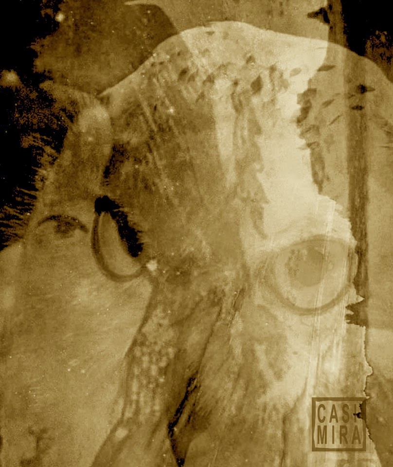 C A S I M I R A ancient druid holiday