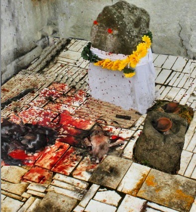 Résultat de recherche d'images pour "மிருக பலி"
