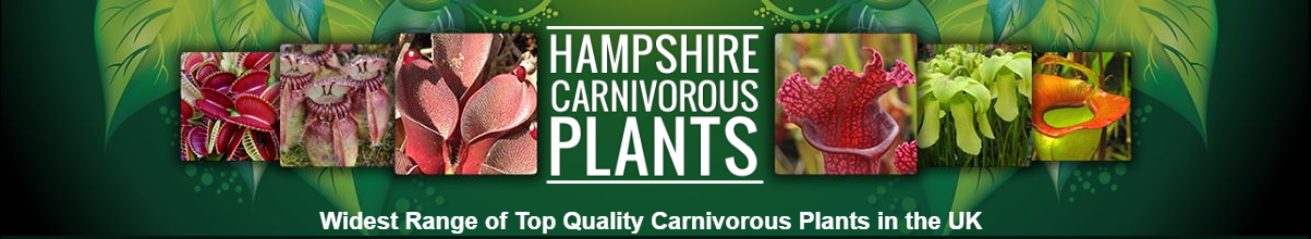 Hampshire Carnivorous Plants 