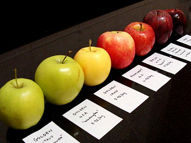 خمس انواع تفاح من شجرة واحدة Item188909